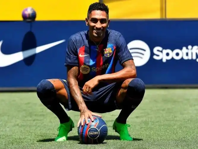 了颇多好评 了颇多好评