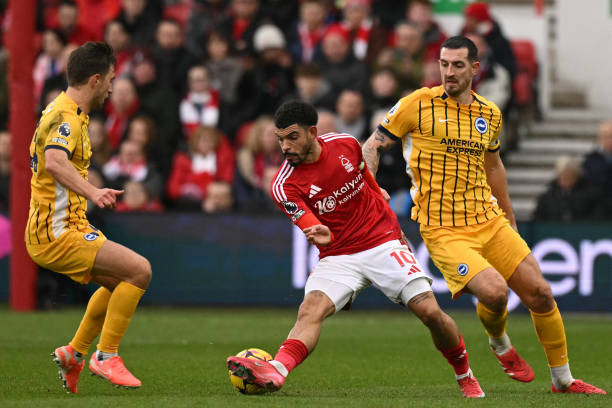 引起了广泛 引起了广泛